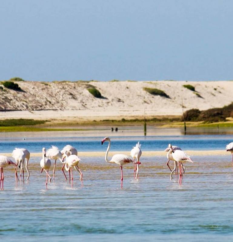 Luxus Apartments am Salgados Strand